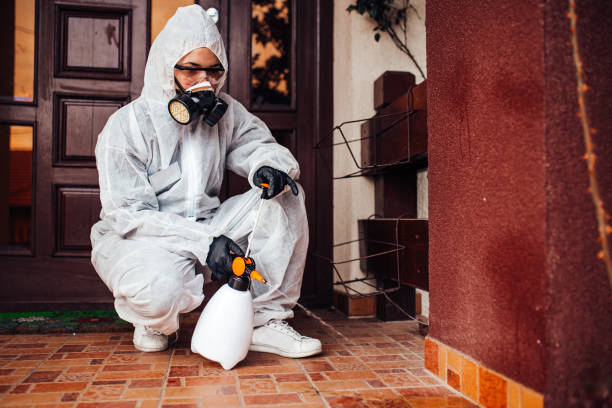 Reliable Ant Control contractor in Trenton, MI by Show Me Pest Control