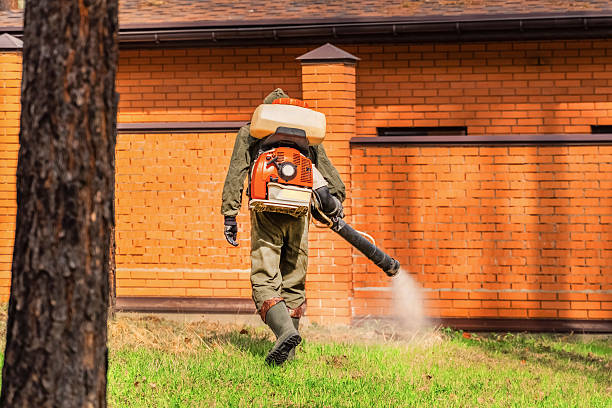 Top rated local Ant Control specialists in Trenton, MI